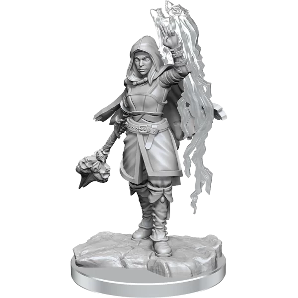 D&D Nolzur's Marvelous Unpainted Minis: Half-Elf Warlock