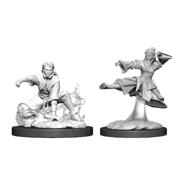 D&D Nolzur’s Marvelous Unpainted Minis: Female Human Monk
