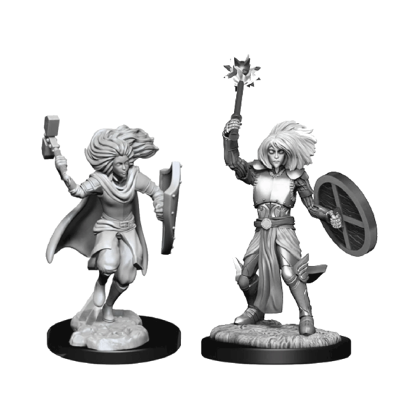 D&D Nolzur's Marvelous Unpainted Minis: Changeling Clerics