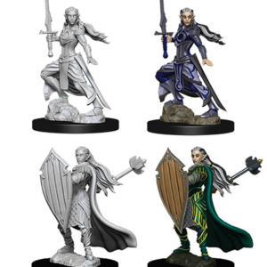 D&D Nolzur’s Marvelous Unpainted Minis: Female Elf Paladin