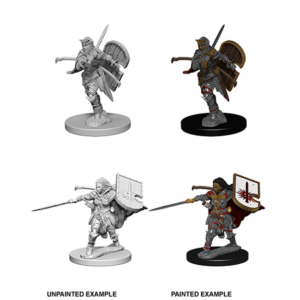 D&D Nolzur’s Marvelous Unpainted Minis: Female Human Paladin